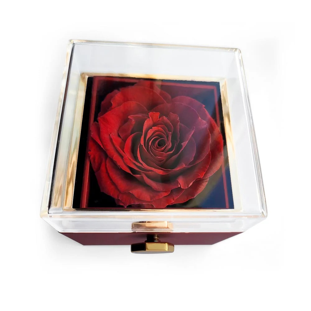 Future Wife First Date Memory Love Knot Necklace with Rotating Rose Box